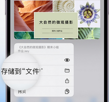 德钦apple维修中心分享iPhone文件应用中存储和找到下载文件