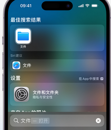 德钦apple维修中心分享iPhone文件应用中存储和找到下载文件 