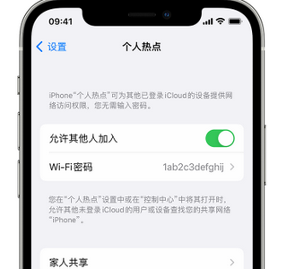 德钦apple服务站点分享iPhone上个人热点丢失了怎么办 