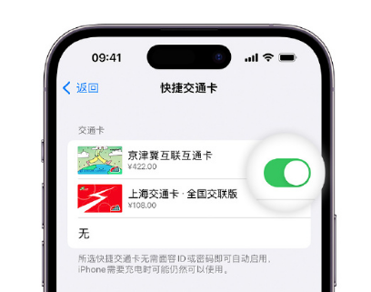 德钦apple维修点分享iPhone上更换Apple Pay快捷交通卡手绘卡面 