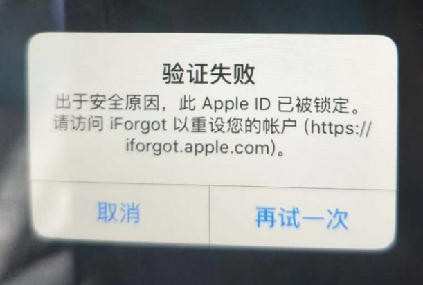 德钦iPhone维修分享iPhone上正常登录或使用AppleID怎么办 