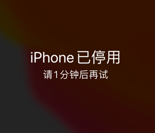 德钦苹果手机维修分享:iPhone 显示“不可用”或“已停用”怎么办？还能保留数据吗？ 