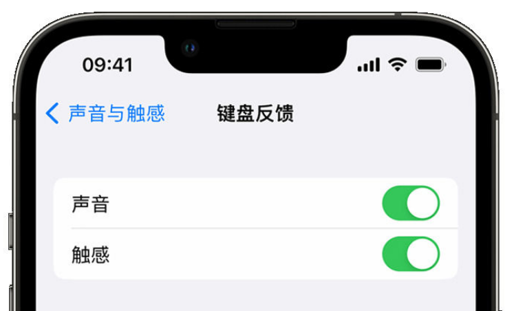 德钦苹果手机维修分享iPhone 14触感键盘使用方法 