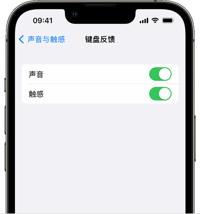 德钦苹果14维修店分享如何在 iPhone 14 机型中使用触感键盘 