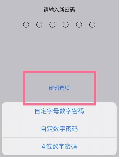 德钦苹果14维修分享iPhone 14plus设置密码的方法 