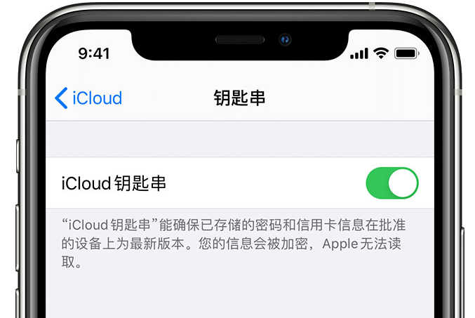 德钦苹果手机维修分享在 iPhone 上开启 iCloud 钥匙串之后会储存哪些信息 