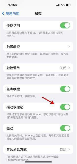 德钦苹果手机维修分享iPhone手机如何设置摇一摇删除文字 