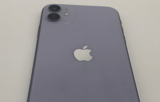 德钦苹果11系统维修分享iPhone11手机系统崩溃无法开机如何解决 